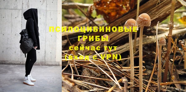 бутират Магас