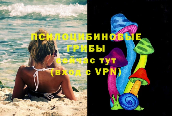 стаф Майский