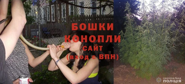 стаф Майский