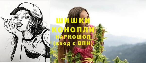 spice Магадан