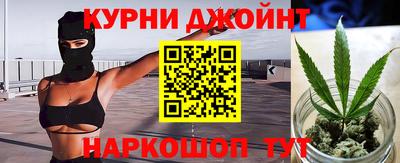 jwh Гатчина