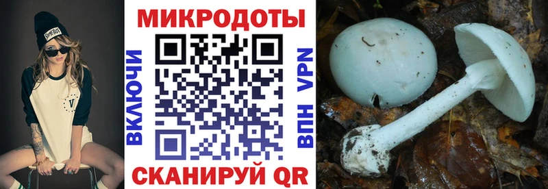 Псилоцибиновые грибы прущие грибы  Курган 