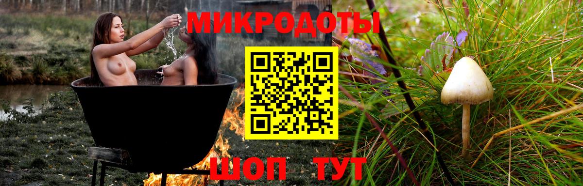 Псилоцибиновые грибы GOLDEN TEACHER  Вход с VPN  Курган 