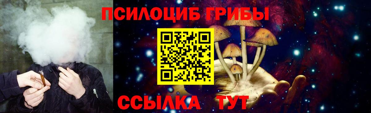 Alpha-PVP  Курган  Кокаин  Гашиш  Мед  Конопля  Мяу-Мяу  Вход с VPN 