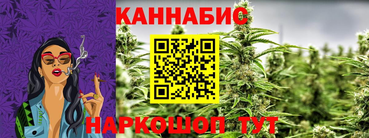 Бошки Шишки White Widow  Канабис план  Курган  Каннабис MAZAR  Вход с VPN 
